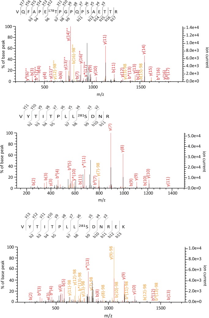 Figure 1—figure supplement 5.