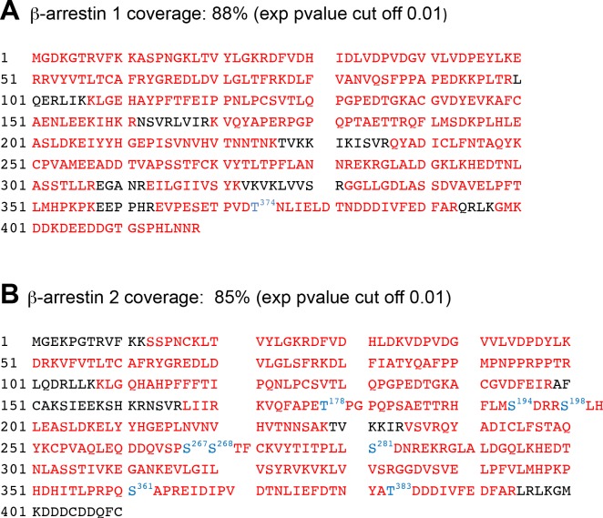 Figure 1—figure supplement 2.