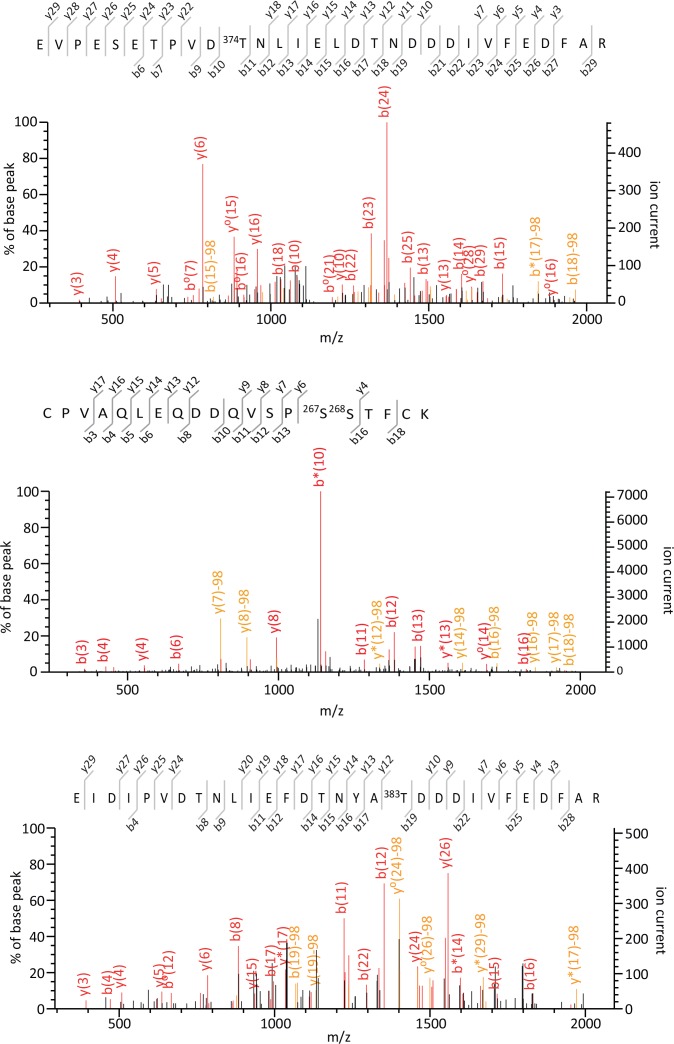 Figure 1—figure supplement 3.