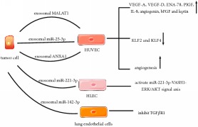 graphic file with name BMRI2019-4649705.tab1.i002.jpg