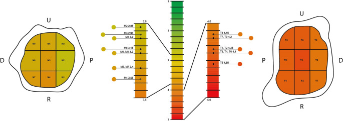 Fig. 3