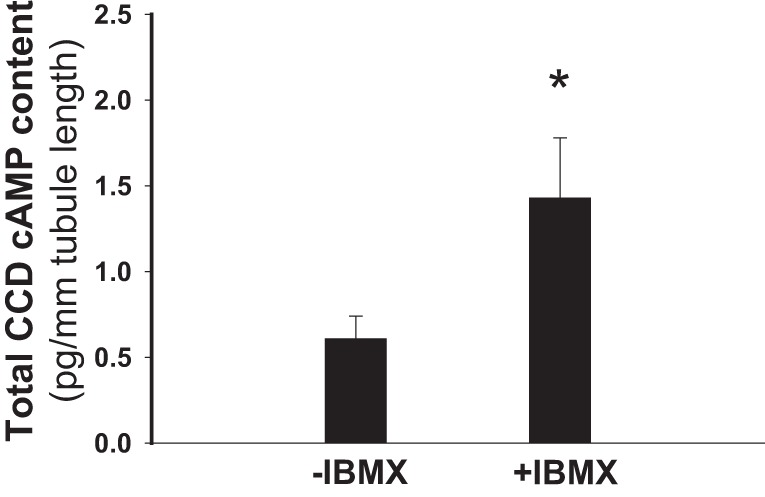 Fig. 9.