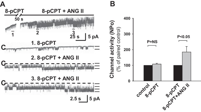 Fig. 12.