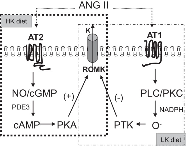 Fig. 13.