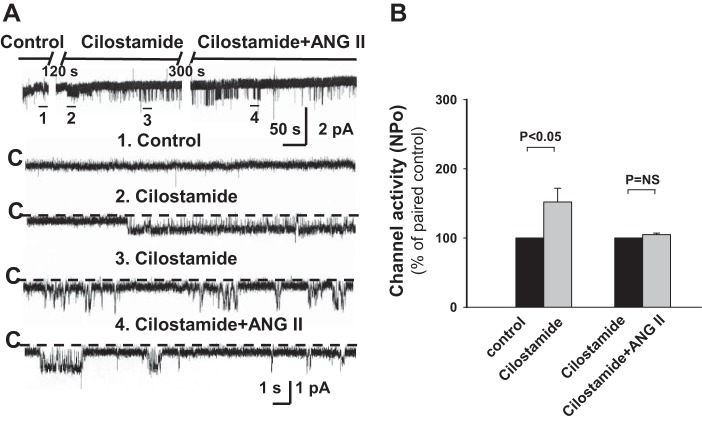 Fig. 10.