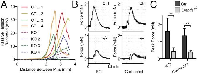 Fig. 8.