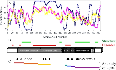 FIGURE 2.