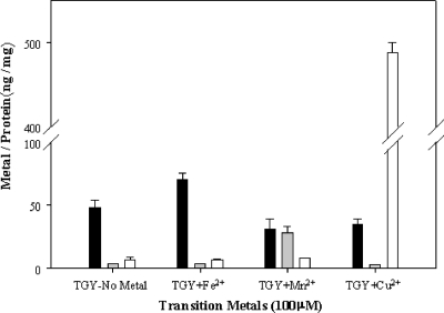 FIG. 4.