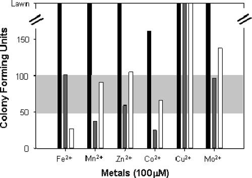 FIG. 2.