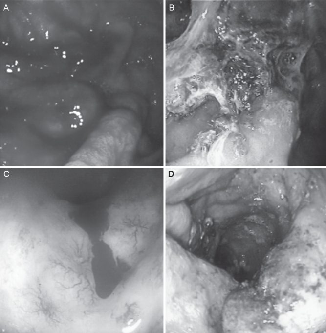 Figure 2)