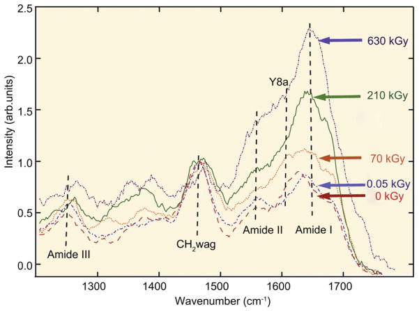 Fig. 8