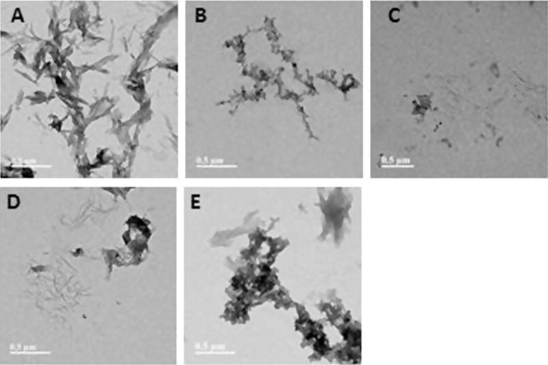 Fig. 11