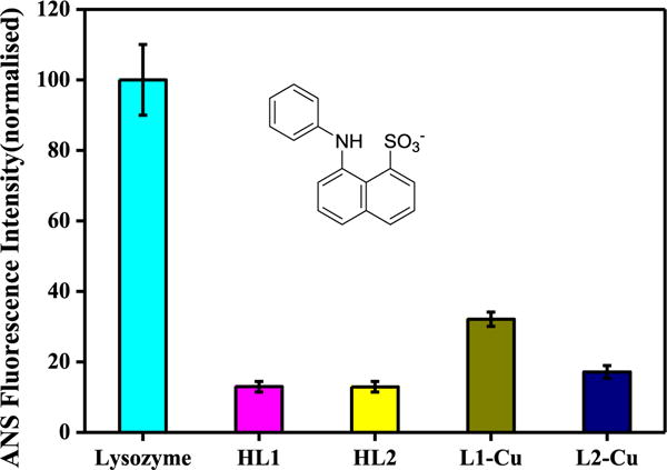 Fig. 10