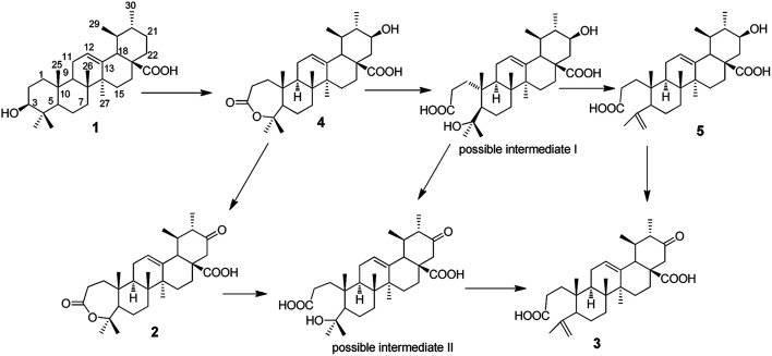 Fig. 4