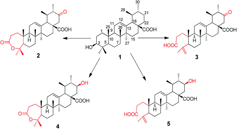 Fig. 1