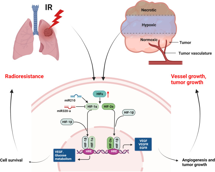 Figure 6