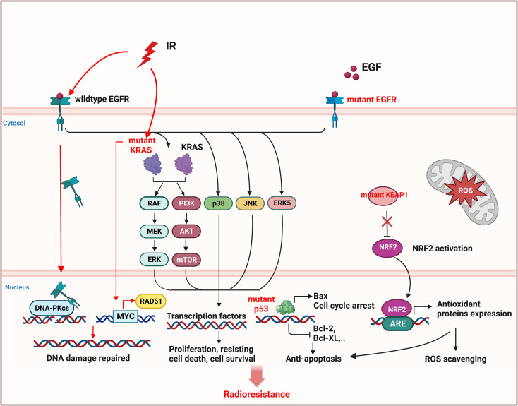 Figure 4