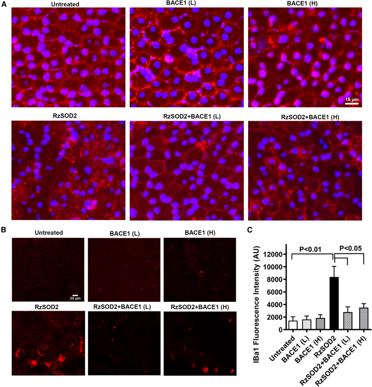 Figure 6