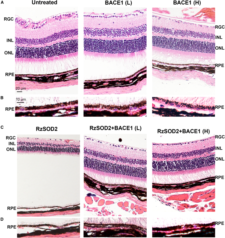 Figure 5