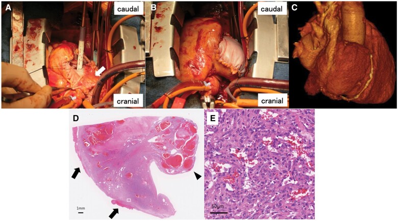 Figure 2: