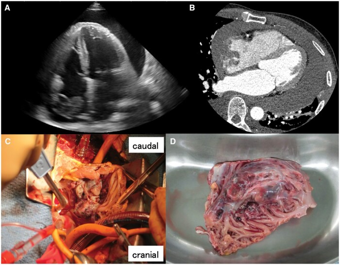 Figure 1: