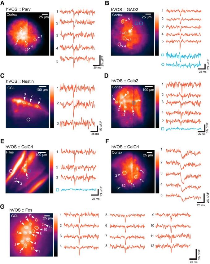 Figure 4.