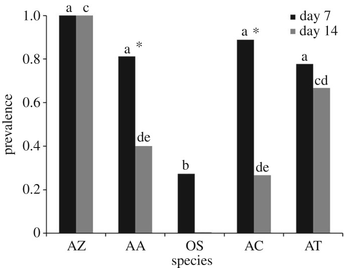 Figure 4.