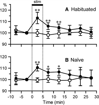 Fig. 6