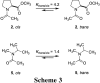 Scheme 3