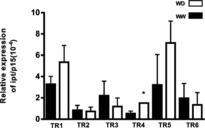 Fig. 4