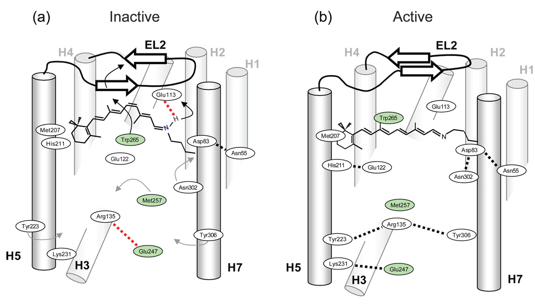 Fig. 10