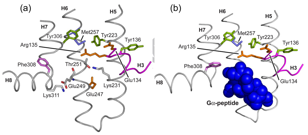 Fig. 17