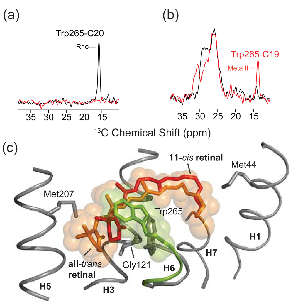 Fig. 11