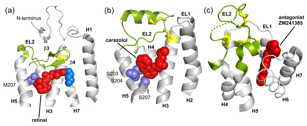 Fig. 13