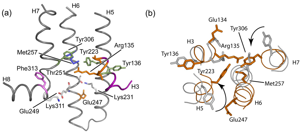 Fig. 16