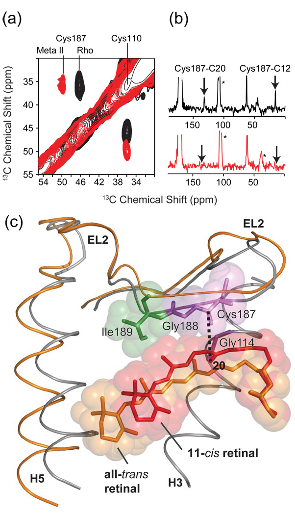 Fig. 12