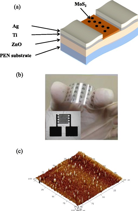 Fig. 1