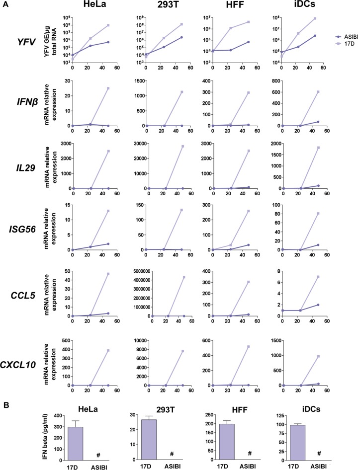 FIG 6 