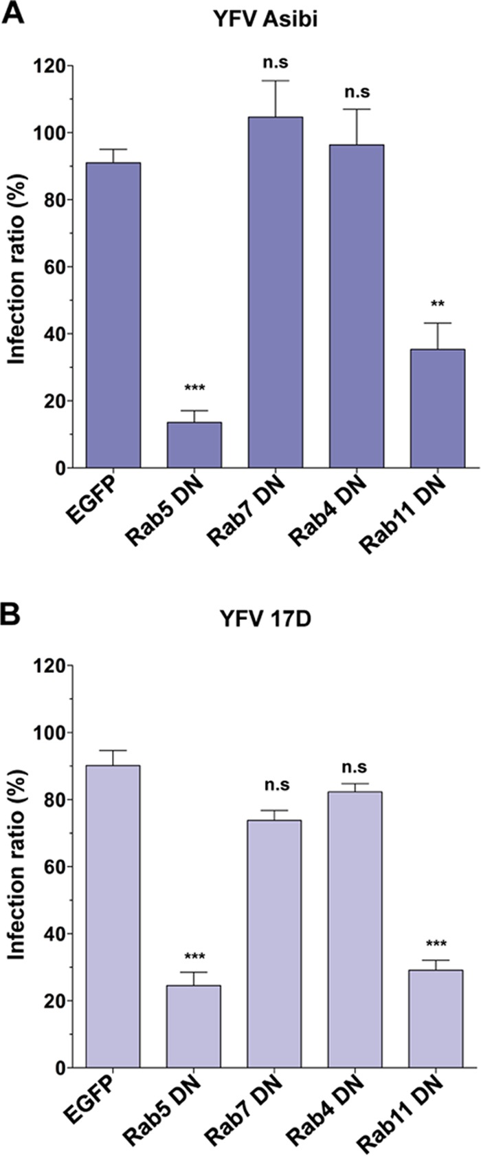 FIG 4 