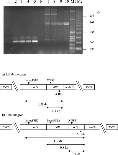 FIG. 5.