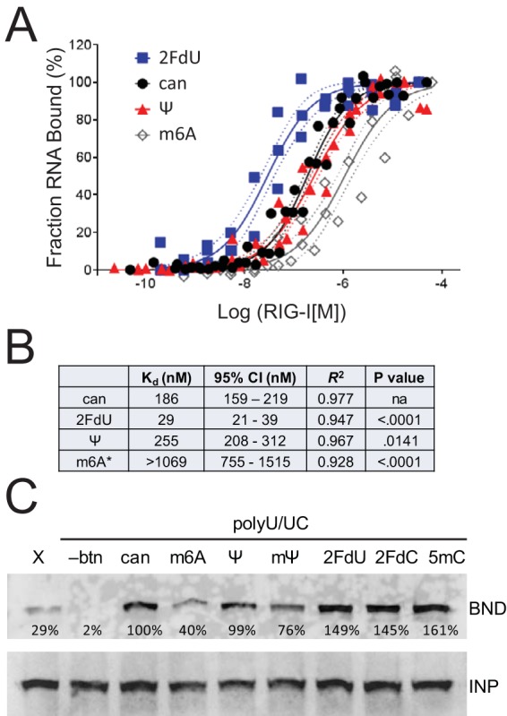 FIG 2 