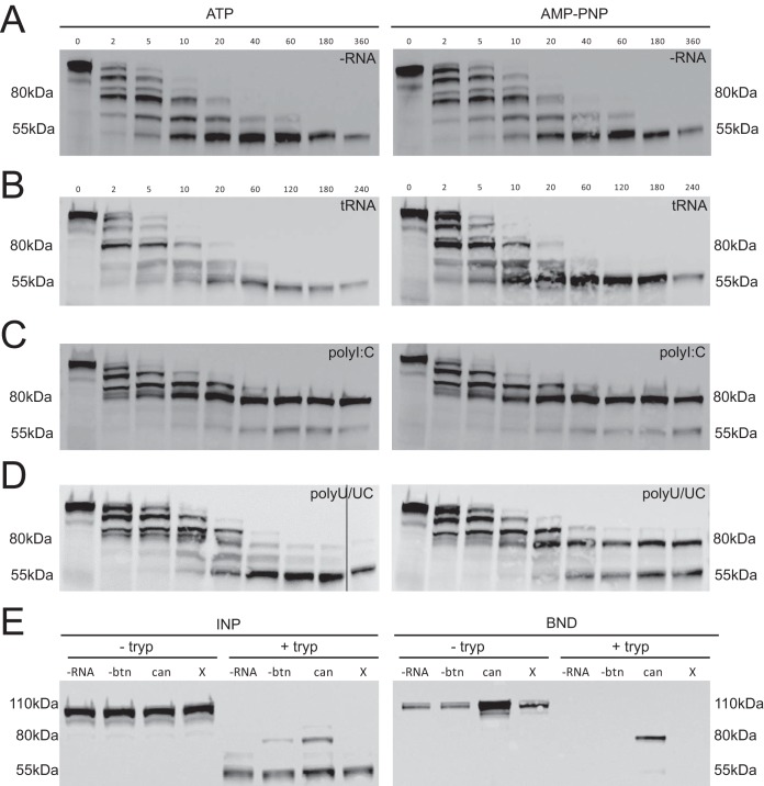 FIG 3 