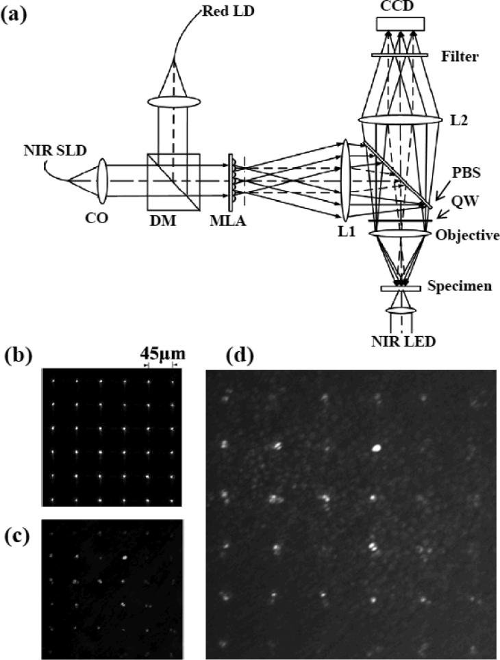 Fig.1