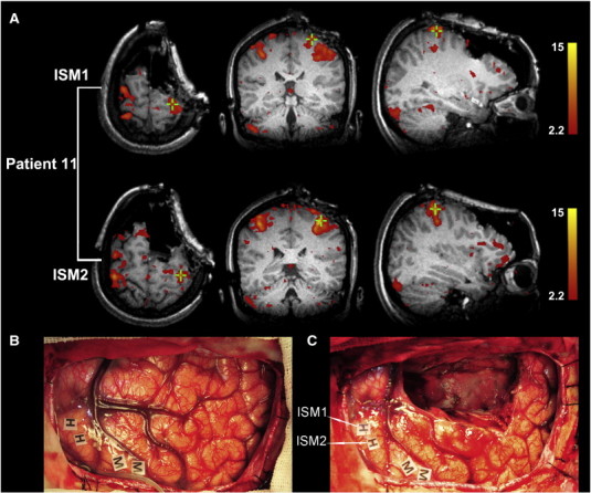 Fig. 7