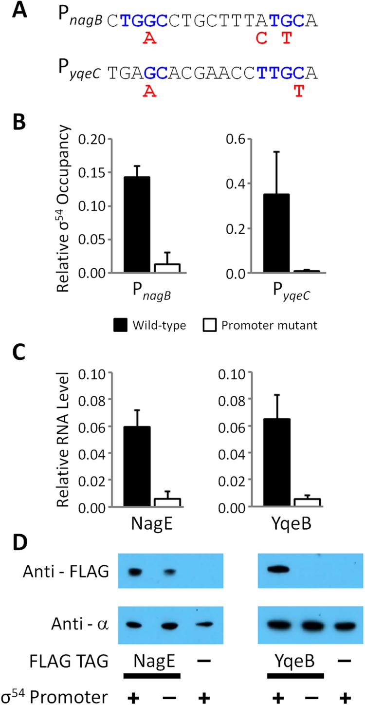 Fig 7