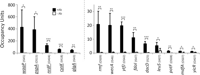 Fig 9