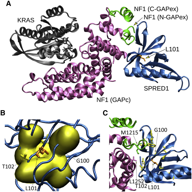 Figure 3