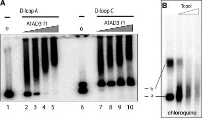 Figure 5.