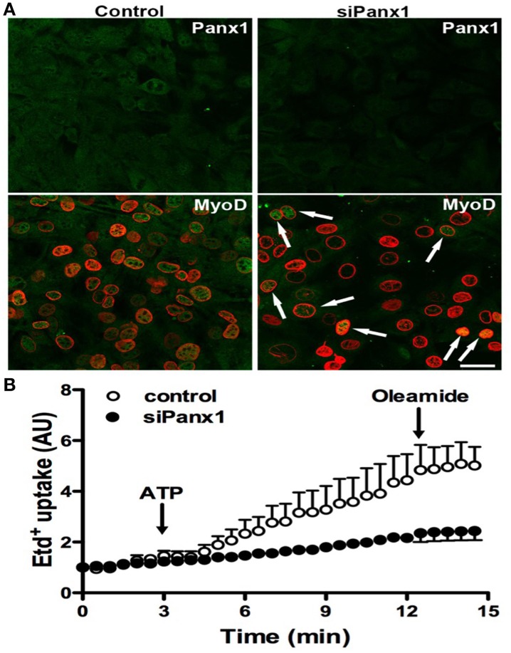 Figure 5