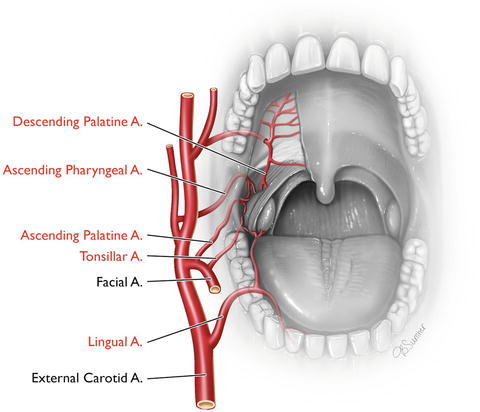 Fig. 10.1